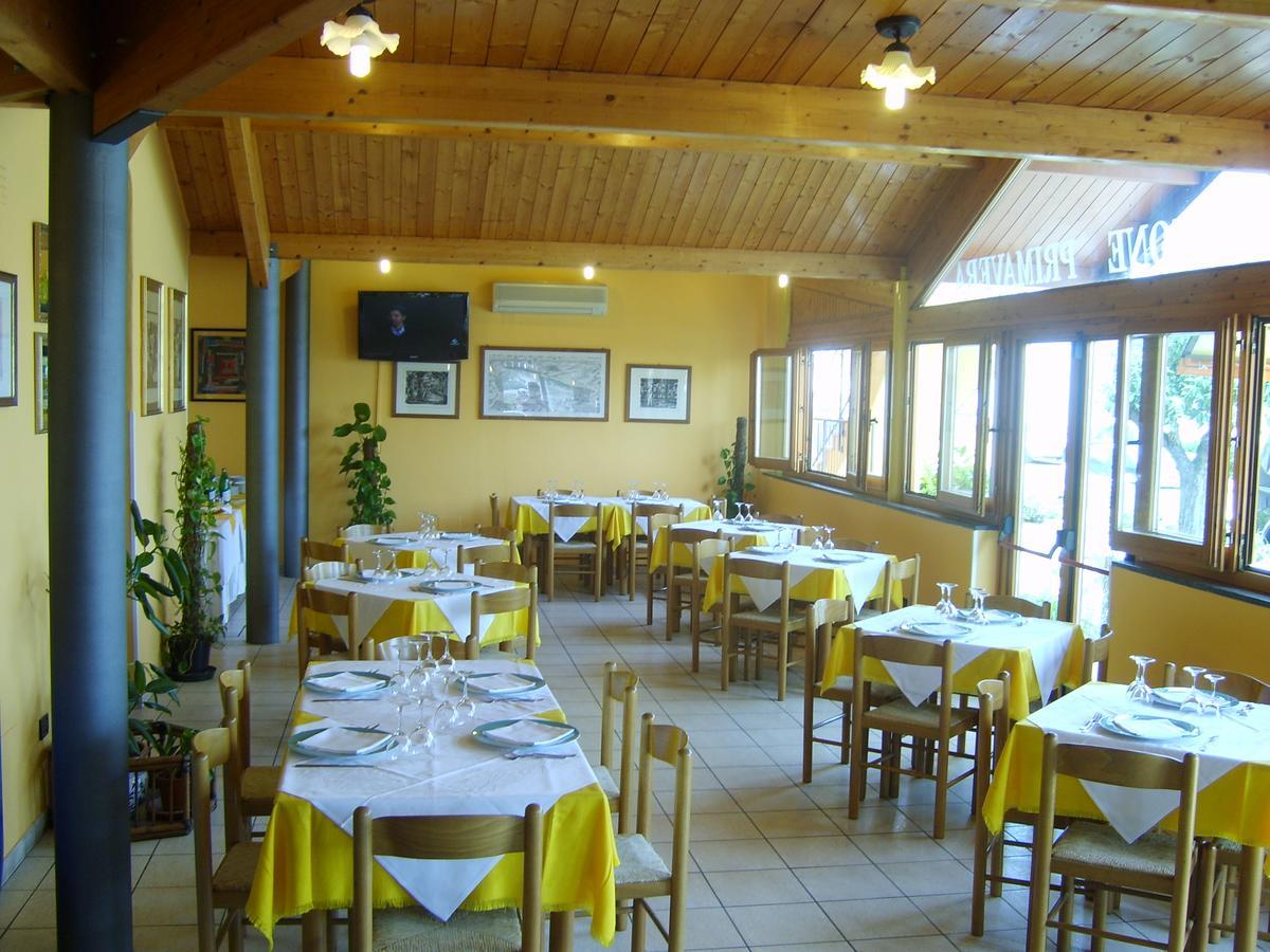 Albergo Primavera Senigallia Bagian luar foto